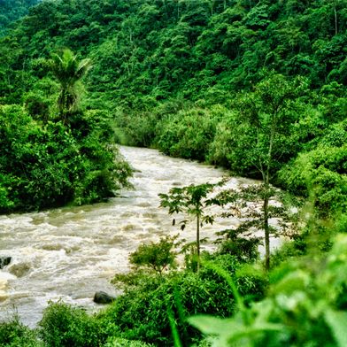 Ecuador 7